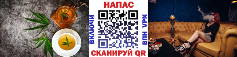 как найти   Завитинск  Canna-Cookies марихуана 