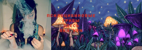 ALPHA-PVP Богородицк
