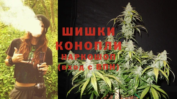 соль курить ск Богданович
