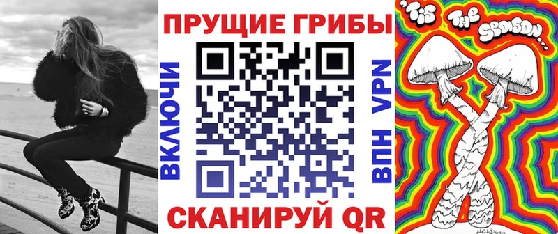 Галлюциногенные грибы Psilocybine cubensis  Завитинск 